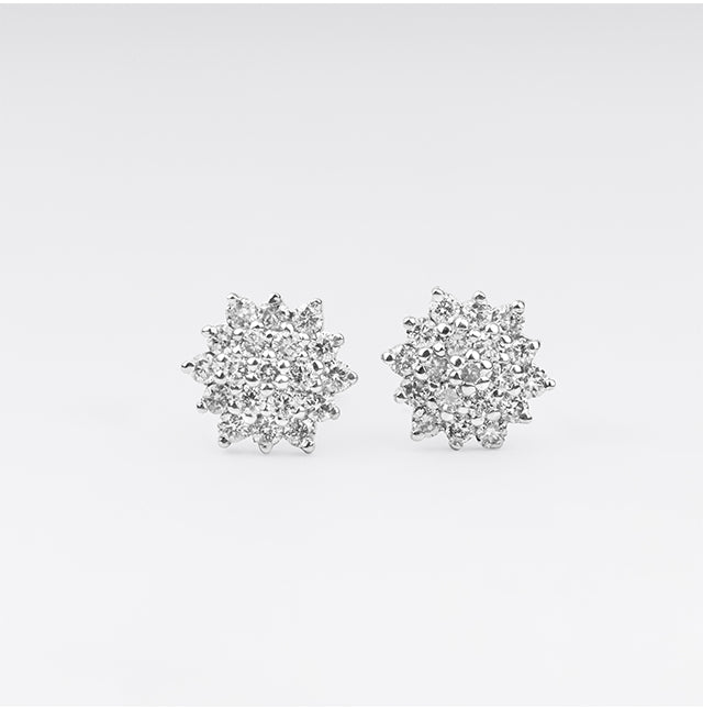 Earrings LDT-489